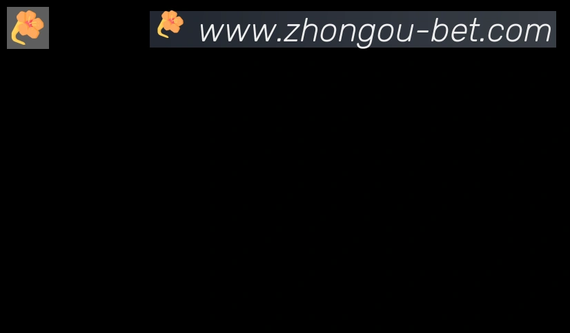 中欧体育合作伙伴